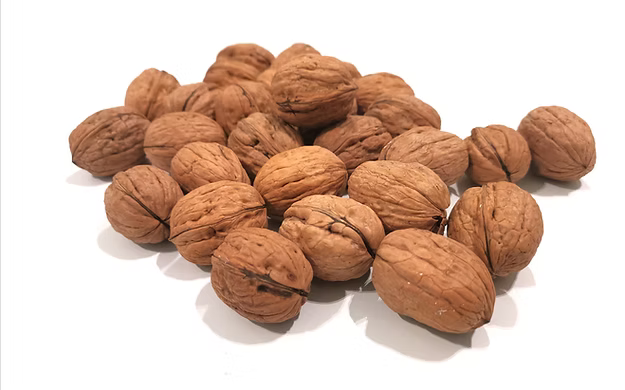Walnuts in Shell USA 1kg