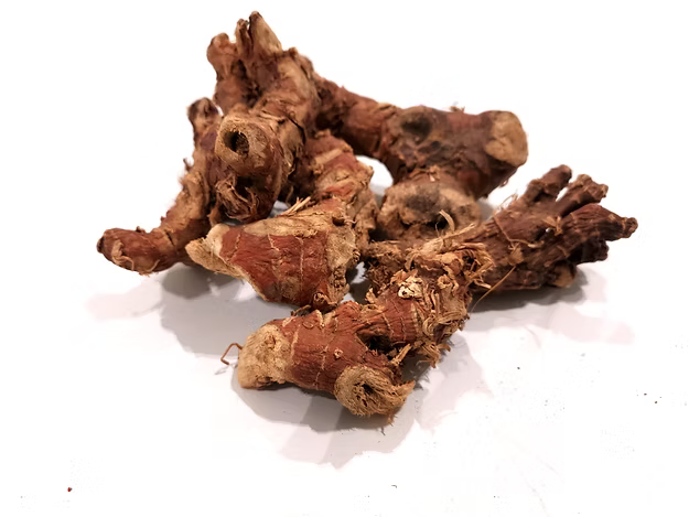 Galangal Roots India
